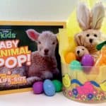 baby animal hop