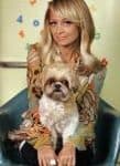 n. richie look like dog