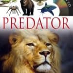 dk predator