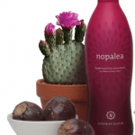 nopalea