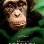 disneynature chimpanzee