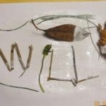 nature art