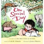 One Special Day A Story for Brothers & Sisters