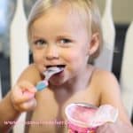 yoplait trix yogurt