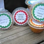 Healthy Snack Ideas from Ginger Snap Crafts