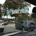 bronx1