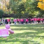 making strides walkers