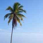 travel on a budget