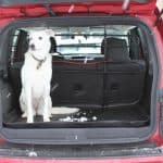 Husky Liner Cargo Mat