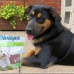 Nudges-Dog-Treats_thumb