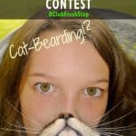 Cat-Bearding-Contest