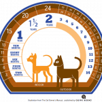 how-old-is-my-cat-#hillspet