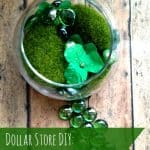 dollar store DIY leprechaun garden finished