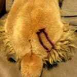 sharpie on stuffed animal