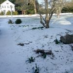 why we don't garden in spring