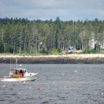 lobster-boat-maine