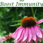 vitamins-boost-immunity-fall