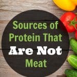protein-sources