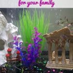 choosing-the-right-fish-tank-hero
