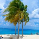 I Cruise, I Lose: Weight Loss Program Update- This Mama Loves