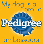Tobey (the Bargains dog) and I are Pedigree Ambassadors!