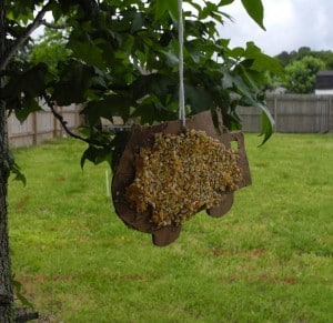 Kids Frugal Fun- Bird Feeders