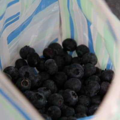 How to Freeze Blueberries (No clumps!)