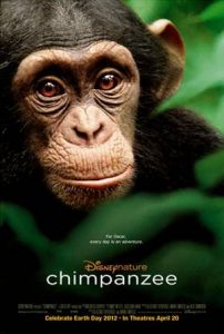 disneynature chimpanzee