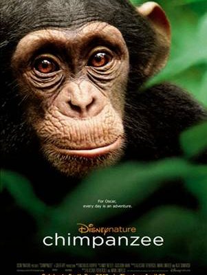 Disneynature’s Chimpanzee Featurette and Announcement