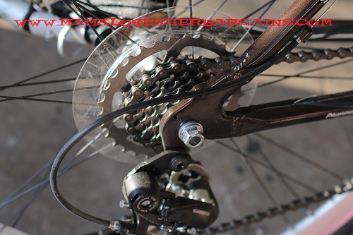 bike gears, schwinn