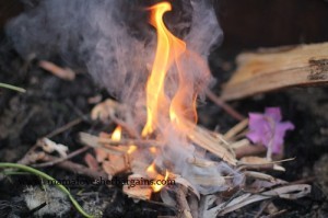 smores 3