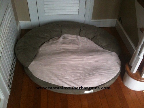 natures sleep pet bed after 1 minute Pet Bed with Memory Foam from Nature's Sleep