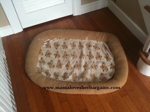 old dog bed old dog bed