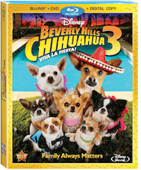 Celebrating with Family in honor of Beverly Hills Chihuahua 3: Viva La Fiesta! #PapiSpeaks