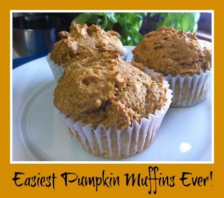 pumpkin-muffins