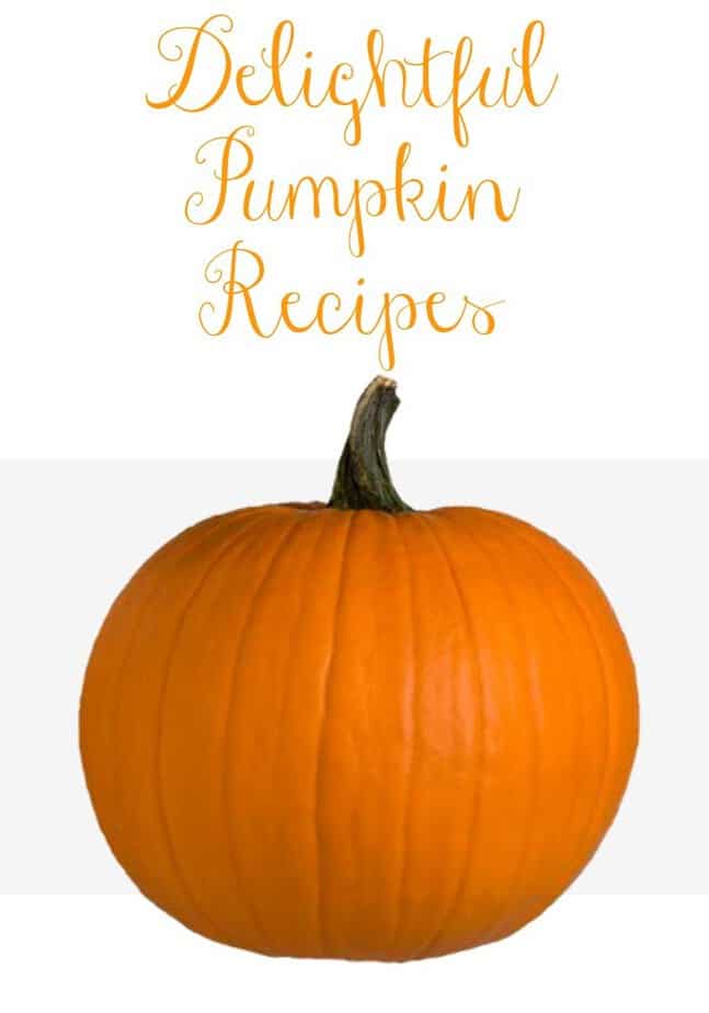 pumpkin-recipe-roundup