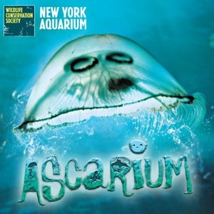 Ascarium: A Pirate Adventure at the New York Aquarium!