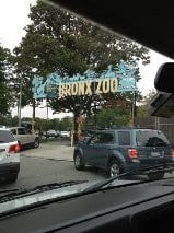 Bronx Zoo – A great family adventure!