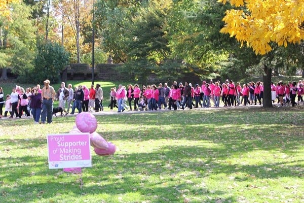 making strides walkers