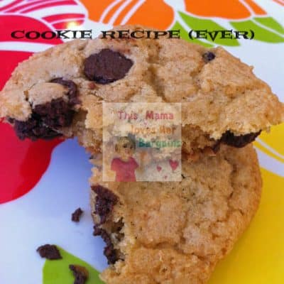 the best chocolate chip cookie recipe ever