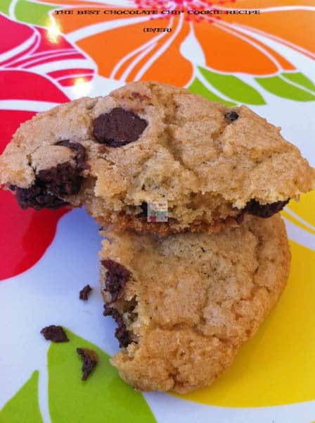 the best chocolate chip cookie recipe ever