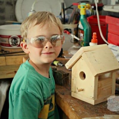 home depot diy birdhouse kit