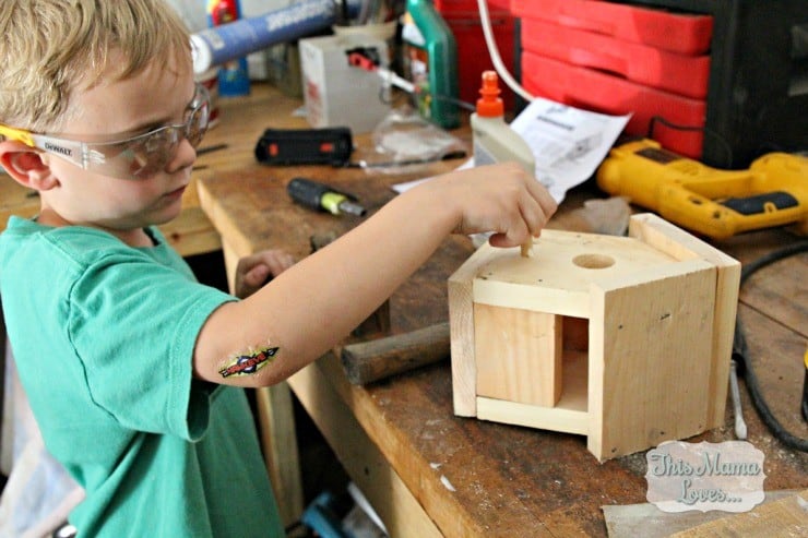 home depot diy birdhouse kit perch