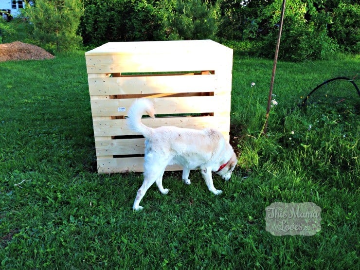 home depot diy compost bin tobey