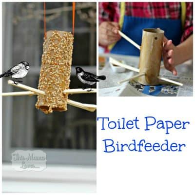Toilet Paper Birdfeeder