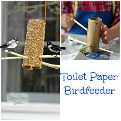 toilet paper birdfeeder craft for kids