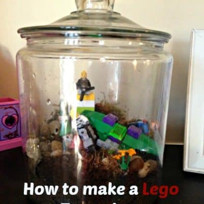 how to make a lego terrarium