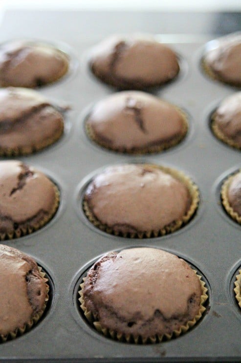 avocado-chocolate-cupcakes-recipe