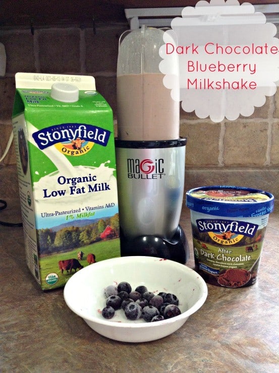 dark-chocolate-blueberry-milkshake-ingredients-recipe