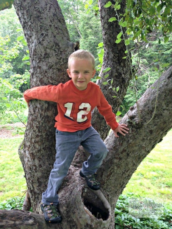 target-instagram-climbing-tree